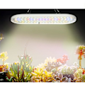 Miniatyrbild 4 av 5: LED växtlampa, fullspektrum för växthus och inomhus hydroponics B