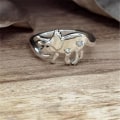 Miniatyrbild 4 av 5: 4 st söta dinosaurie Tyrannosaurus Triceratops ring set 14K silver