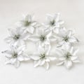 Miniatyrbild 1 av 5: Konstgjorda Julstjärnor Dekorationer Julgranspynt Glittrande Blomma för Jul, Bröllop, Festligheter (8 stycken)