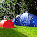 Miniatyrbilde 5 av 5: 10 stk. teltplugger i stål - Lange, robuste jordingsplugger for camping og utendørs - Ideelle for normal og hard grunn
