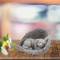 Miniatyrbillede 4 af 5: Hund sover i engelvinger kæledyrsstatue - Til minde om min bedste ven