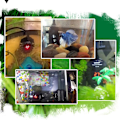 Miniatyrbillede 4 af 5: Akvarievarmer Mini Akvarium Varmelegeme Tropisk Skildpadde Varme Vand Niveau Varmelegeme Lav Konstant Temperatur Auto