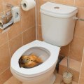 Miniatyrbilde 4 av 5: 3D Eekhoorn toiletbril sticker - Toepasbaar op decor voor badkame
