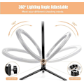 Miniatyrbillede 3 af 5: Led Selfie Ring Light Ring Light Stativ Med Fjernbetjening Bord