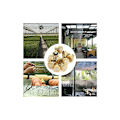 Miniatyrbild 5 av 5: 20-pack 0,4 mm mässingsdimmunstycke, vattenbesparande dimspruthuvud, för