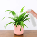 Miniatyrbilde 5 av 5: Tom sprayflaske for vann, tom sprayflaske for rengjøring, sprayflaske for hårstyling (300 ml (2 enheter)), hvit, 25*5,8 cm