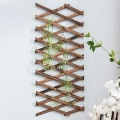 Miniatyrbillede 5 af 5: Træ espalier vægplanter, udvidelig espalier til klatreplanter og vin