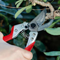 Miniatyrbilde 5 av 5: Profesjonell 8\" hagesaks, sylskarp japansk SK5 stålblad, sklisikre PVC-belagte håndtak