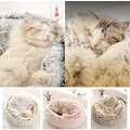 Miniatyrbilde 5 av 5: Rund Fluffy Katteseng - Myk Plysj - med Hetter - for Innendørs og Vinter - Sklisikker Sovepute - Maskinvaskbar - 50 cm