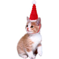 Miniatyrbilde 4 av 5: Pakke med liten julehatt for kjæledyr, liten julehatt for kanin, hamsterjulehatter for hamster, julehodeplagg for små dyr for kanin, hamster