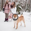 Pikkukuva 3 / 5: 2 kappaletta koiran snood kaula lämmitin, koiran korvatulpat melunsuojaus, ei läppä korva kääreet, koiran snood koiran kaula ja korvat lämmitin, korva peittää ahdistuksen lievittämiseen ja rauhoittavaan äänieristykseen 、S