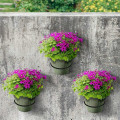 Miniatyrbillede 5 af 5: Blomsterpottevægholdere, 3 stk. Metalblomsterpottevægkrog Pot Ring Holder Fl