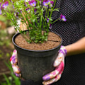 Miniatyrbild 3 av 3: 4 stycken kokosmattor för växter, skyddsskiva för kokosmattor, kokosfiber-mulchmatta, skydd för krukväxter (30 CM)