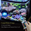 Miniatyrbilde 3 av 5: 10 stk Mini LED-lys med fjernkontroll, RGB flerfarget vanntett liten telys, batteridrevet undervanns fargeskiftende EFX-lys for vase, bassengdam, Halloween lyktdekor