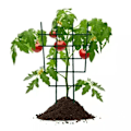 Miniatyrbillede 5 af 5: 5 stk. Plantesupport i plast til klatreplanter