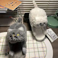 Miniatyrbild 3 av 4: Plysch katttofflor för kvinnor, partofflor, mjuka halkfria blå grå