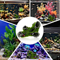 Miniatyrbilde 2 av 5: Akvarium Ornament Huleform Steinutsikt med Grønt Gress for å Gjemme Reker og Fisk Landskap Stein Gjemme Hule Tre Akvarium Dekorasjon
