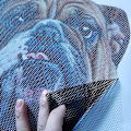 Pikkukuva 4 / 5: Bulldog Oikeanpuoleinen Auton Ikkunan Vinyyli Tarra