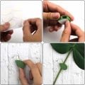 Miniatyrbillede 3 af 5: 30 stk. Plante klatring vægmontering clips selvklæbende plante væg fastgørelse