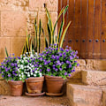 Miniatyrbillede 5 af 5: 6 stk. kunstige blomster, simulerede blomster grønne planter UV-bestandige planter