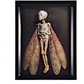 Miniatyrbild 1 av 4: Förbannade föremål Död älva skugglåda Display Handgjord läskig mumifierad älvlik kropp Hotellbibliotek Bar Vardagsrum Hemkonst Prydnad Halloween Dekor