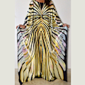 Miniatyrbillede 2 af 3: Sommerfugl Zebra Stribet Mønster Oversize Satin Batwing Kimono Cover Up Kaftan