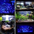 Miniatyrbillede 5 af 5: Nedsænkelig LED-akvarielys, fiskebakslys med timer automatisk tænd/sluk, hvid