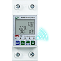 Miniatyrbillede 1 af 5: Hjemme Voltmeter Amperemeter, Tuya WiFi Smart Genopkobling Beskytter, Strøm Spænding, Energiovervågning, Relæ, Afbryder, Switch Beskytter, Med Indikator