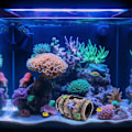 Miniatyrbillede 3 af 5: Star-Fish ødelagt tøndeindretning i harpiks Betta fiskebeholder tilbehør O