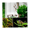 Miniatyrbild 5 av 5: 1 st transparent reptil avelslåda, reptil amfibie avelslåda