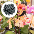 Miniatyrbild 5 av 5: Orkidéklipp, 100 st plantklipp, växtklipp, orkidéklipp, plastorkidéklipp, små klämmor, växtklipp, orkidé
