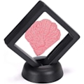 Miniatyrbild 5 av 5: 10 st 3D Flytande Showcase Ram Showcase Clear Display för AA Medaljong Antik Utmaning Mynt Chip Smycken Pin, Svart