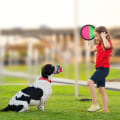 Miniatyrbilde 2 av 5: Ballkasting og fangstspill, bryting ballkasting barnespillsett for hage utendørs basseng strand utendørs sport gaver