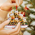 Miniatyrbilde 4 av 7: Personlige julepynt for familien - Unike julegaver