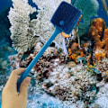 Miniatyrbillede 5 af 5: 2 stk. svampeakvarie rengøringsbørste 40CM dobbeltsidet akvariealgeskraber akvarieglas rengøringstilbehør