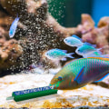 Miniatyrbild 4 av 5: Akvarium bubbel luftsten, 4 stycken luftsten grå mikro bubbelsten bar,