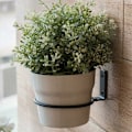 Miniatyrbild 2 av 5: Set med 3 väggfästen för blomkrukor