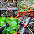 Miniatyrbillede 4 af 5: 100 stk justerbare vandingssprinklere mikroflow drypvandingssystem kit
