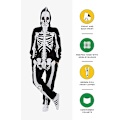 Pikkukuva 5 / 5: Naisten Halloween-kalloasu - Mukava ja helppo aikuisten vartaloasu