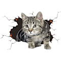 Miniatyrbilde 1 av 5: 3D Bilstikker Søte Katt Stikker Dyretema Vegg Stikker Bilstikker Bilstikker Bilstikker Bilstikker Dekorasjon Personlige Stikker