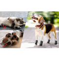 Miniatyrbilde 2 av 5: 2 stk. utendørs vanntett hund sko løping kjæledyr regnstøvler store hundestøvler han