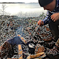 Miniatyrbillede 4 af 4: Sammenklappelig bålredskab i rustfrit stål, blæserør til bål, lommebælg, sammenklappeligt rør til picnic, camping, vandreture, udendørs, bygger bålredskaber