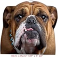 Pikkukuva 2 / 5: Bulldog Oikeanpuoleinen Auton Ikkunan Vinyyli Tarra