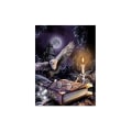 Miniatyrbild 1 av 3: Diamantmålning 40x30 cm Trollkarl Harry Potter Diamantmålning flerfärgad