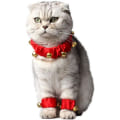 Miniatyrbillede 1 af 5: Kæledyr Jul Outfit Elastisk Julemand Krave og Fod Ring Sæt Rød Hals Tilbehør