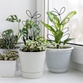 Miniatyrbild 4 av 5: Klätterväxtstöd, 31,5 cm inomhusväxtstöd, metallklätterväxtstöd, bladform, för Monstera, orkidé, morgon glory, klätterväxter