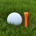 Miniatyrbillede 3 af 5: Konsekvent Tee Skrå Biologisk Nedbrydelig 100stk Tees Golf Tackplast Materiale