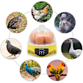 Miniatyrbild 5 av 5: 7 Ägg Digital Äggkläckningsmaskin Automatisk Fjäderfä Ankor Kyckling Äggkläckningsmaskin Fjäderfäkläckningsmaskin Fjäderfä Äggkläckningsmaskin