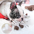Miniatyrbilde 3 av 5: 3 stk Uforgjengelige Robuste Esler, Kvitrende Hundesleker For Aggressive Tyggere, Fylte Hundesleker Pluss Hundesleker