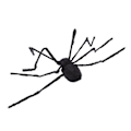 Miniatyrbilde 3 av 5: 125cm Svart Skummel Kjempe Edderkopp Halloween Dekorasjon Elektrisk Stemmestyrt Lysende Edderkopp for Hage Spøkelseshus Fest Veranda Innendørs Utendørs[C]